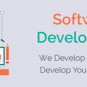 software development