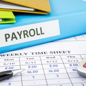 payroll software in Somalia