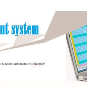 payroll software in Somalia