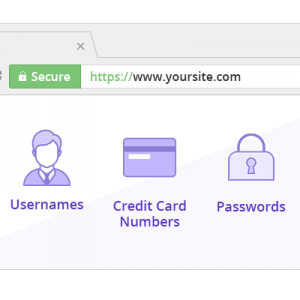 buy ssl certificate